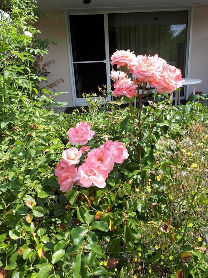 בילפלד Entire House, Quiet City Location, Garden, Parking מראה חיצוני תמונה